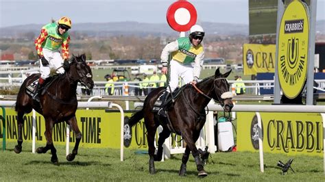 Last 10 Grand National Winners .